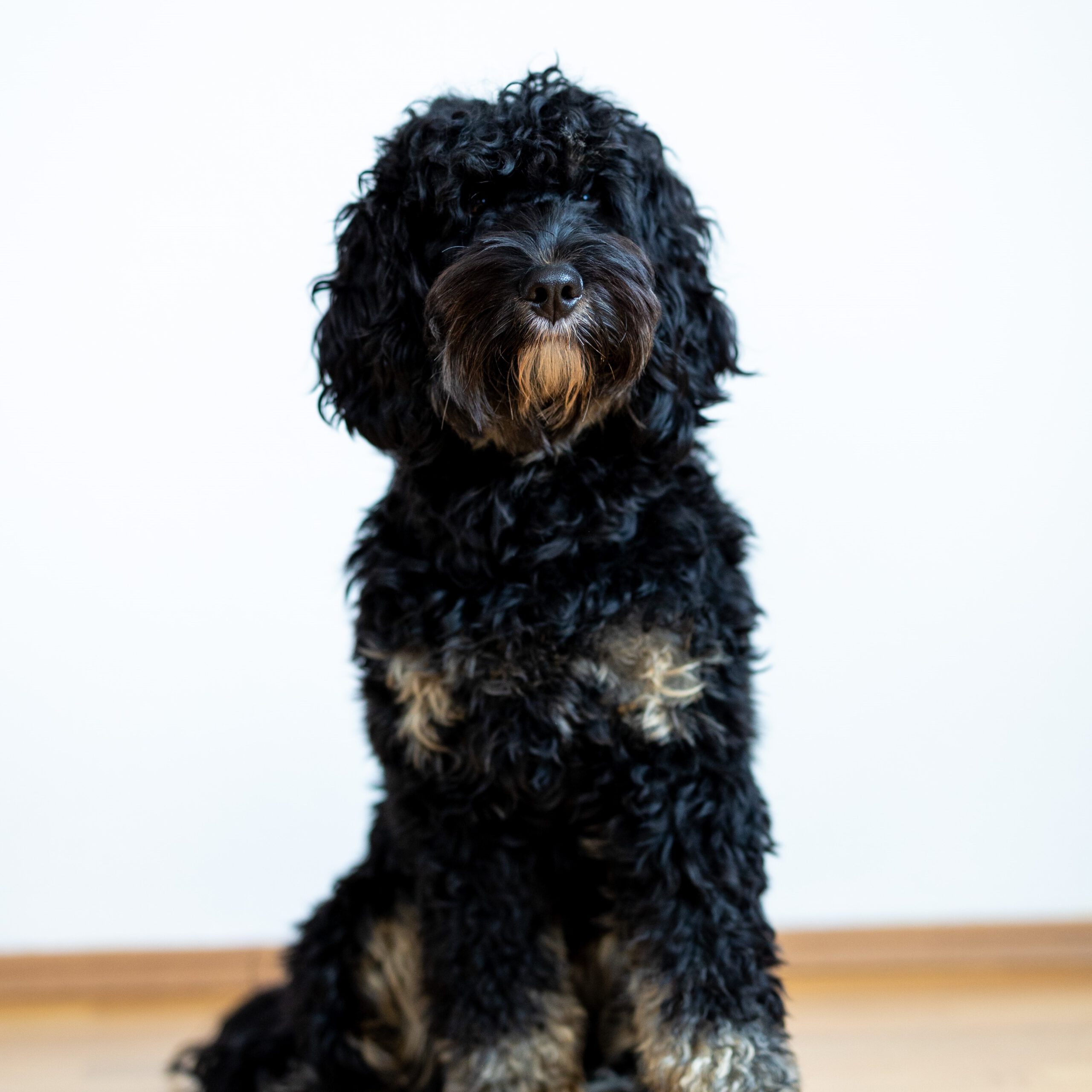 PEPPER